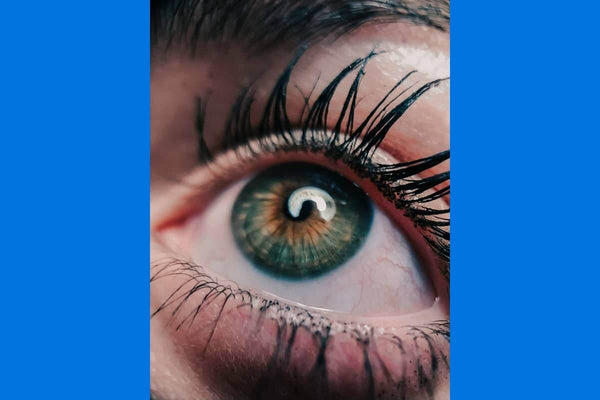 Mascara Silky 4D -Future definition of eyelashes