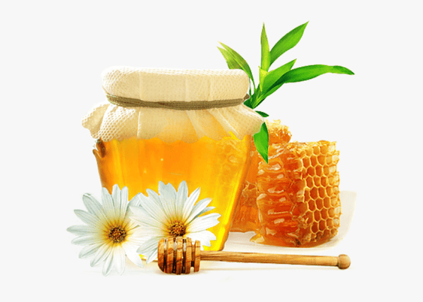 Honey has been used as a cough suppressant / Allergies